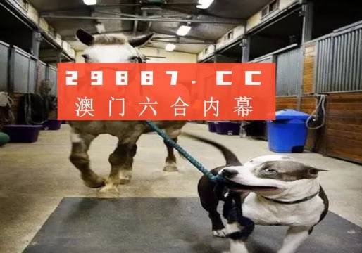 澳门一肖一码一必中一肖同舟前进，探索命运之轮的神秘面纱，澳门一肖一码命中注定，探索命运之轮神秘面纱的同舟之旅