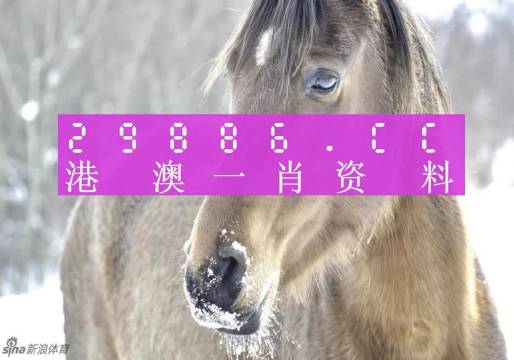 澳门一肖一码，揭秘百分百准确的预测之谜，澳门一肖一码揭秘，百分百准确预测之谜探秘