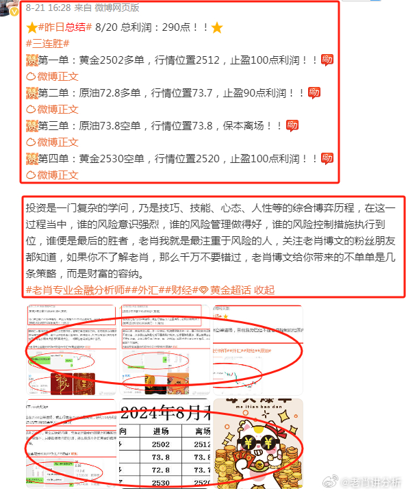香港王中王一肖一马，文化、商业与社会的交融，香港王中王一肖一马，文化、商业与社会的完美交融