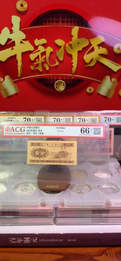 王中王一字解一肖，探寻生肖文化中的奥秘与智慧，生肖奥秘揭秘，王中王一字解一肖的智慧探寻