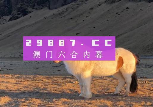 澳门必开一肖一码历史，揭秘传统魅力与神秘预测，澳门必开一肖一码历史揭秘，传统魅力与神秘预测探秘