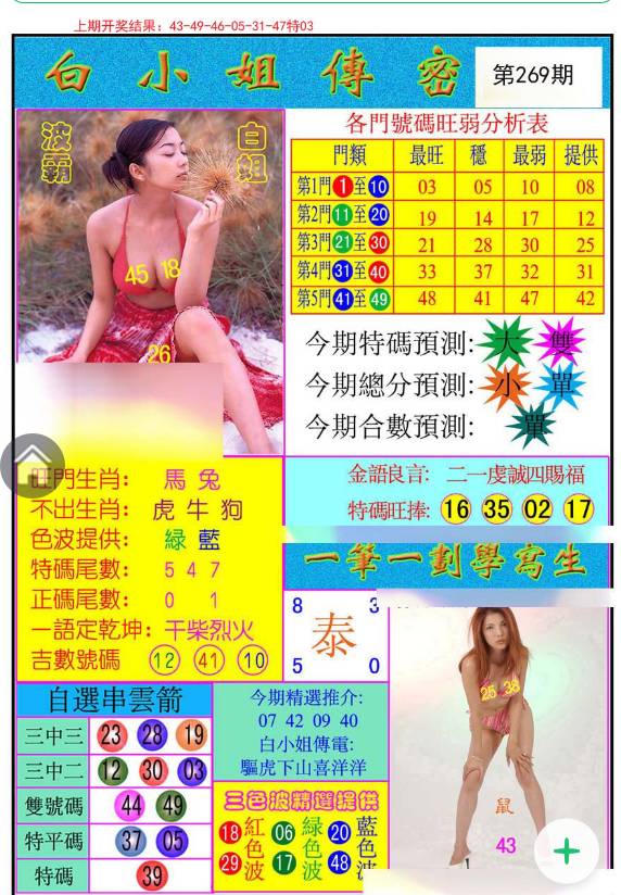 揭秘白小姐四肖一码王中王背后的秘密，揭秘白小姐四肖一码王中王背后的真相