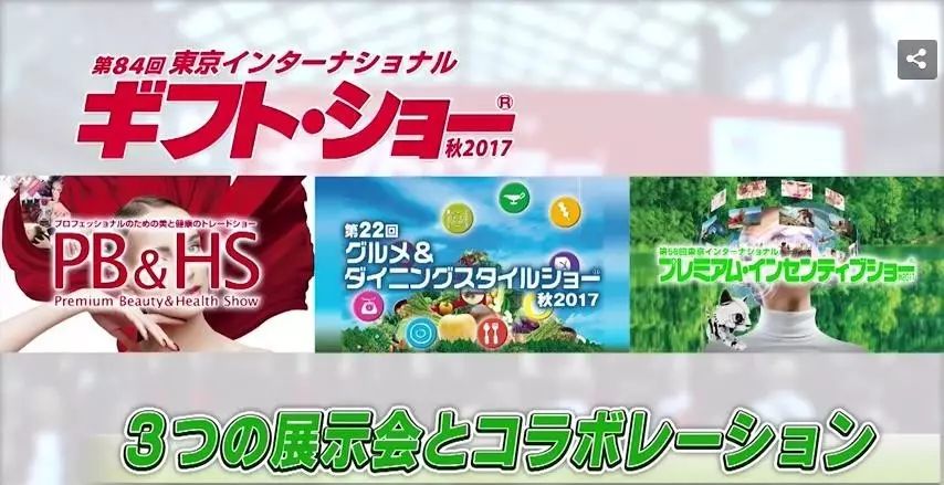 王中王84期指一生肖，探寻背后的文化寓意与生肖魅力，王中王84期生肖探寻，背后的文化寓意与独特魅力