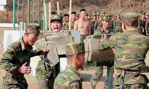 世界十大顶尖特种兵，世界十大顶尖特种兵介绍