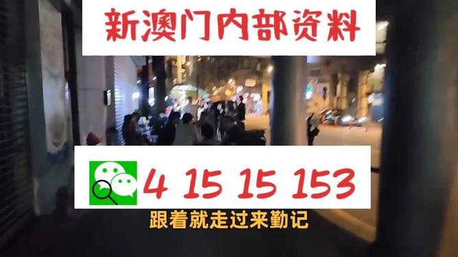 王中王博特一肖二码，探索与解析，王中王博特一肖二码，深度探索与解析