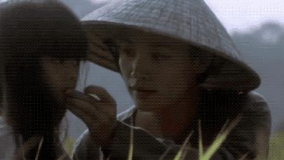越南战争与电影三天与地，战争的真实与影像的反思，越南战争与电影三天与地，战争真实与影像反思