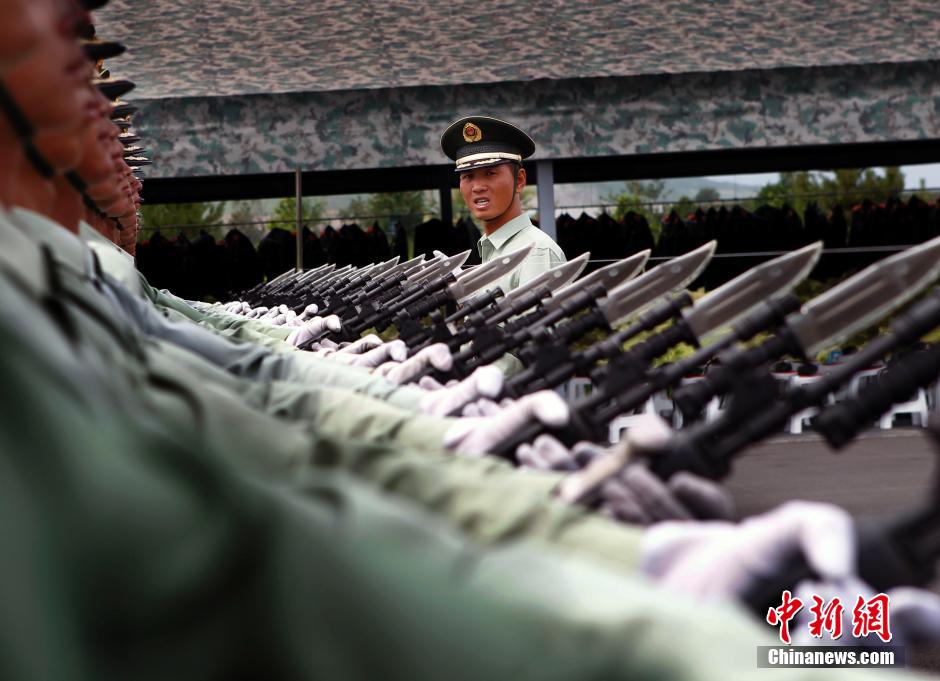 三军仪仗队炮兵，荣耀与力量的象征，三军仪仗队炮兵，荣耀与力量的时代见证