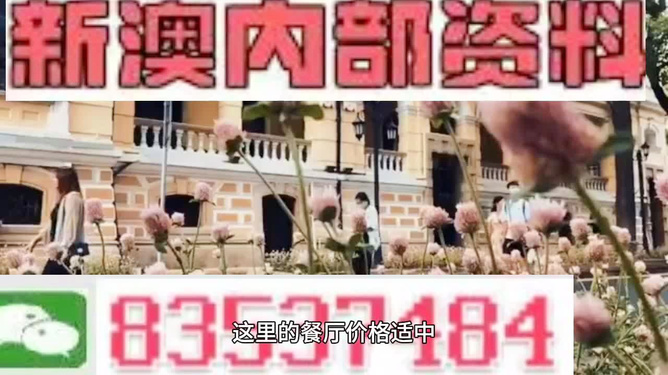 新澳门精准资料大全与管家婆料，深度解析与实际应用，新澳门精准资料大全与管家婆料，深度解析及实战应用指南