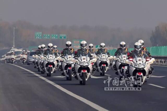 揭秘国宾护卫队的身高标准与选拔要求，国宾护卫队选拔标准与身高要求揭秘