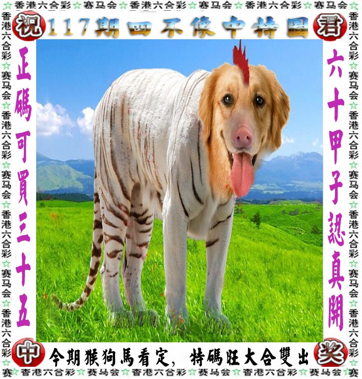 王中王四不像与肖一必特，探索神秘现象背后的真相，揭秘王中王四不像与肖一必特，探寻神秘现象真相
