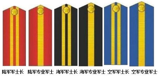 中国人民解放军的军种与兵种，力量与荣耀的象征，中国人民解放军的军种与兵种，力量与荣耀的象征
