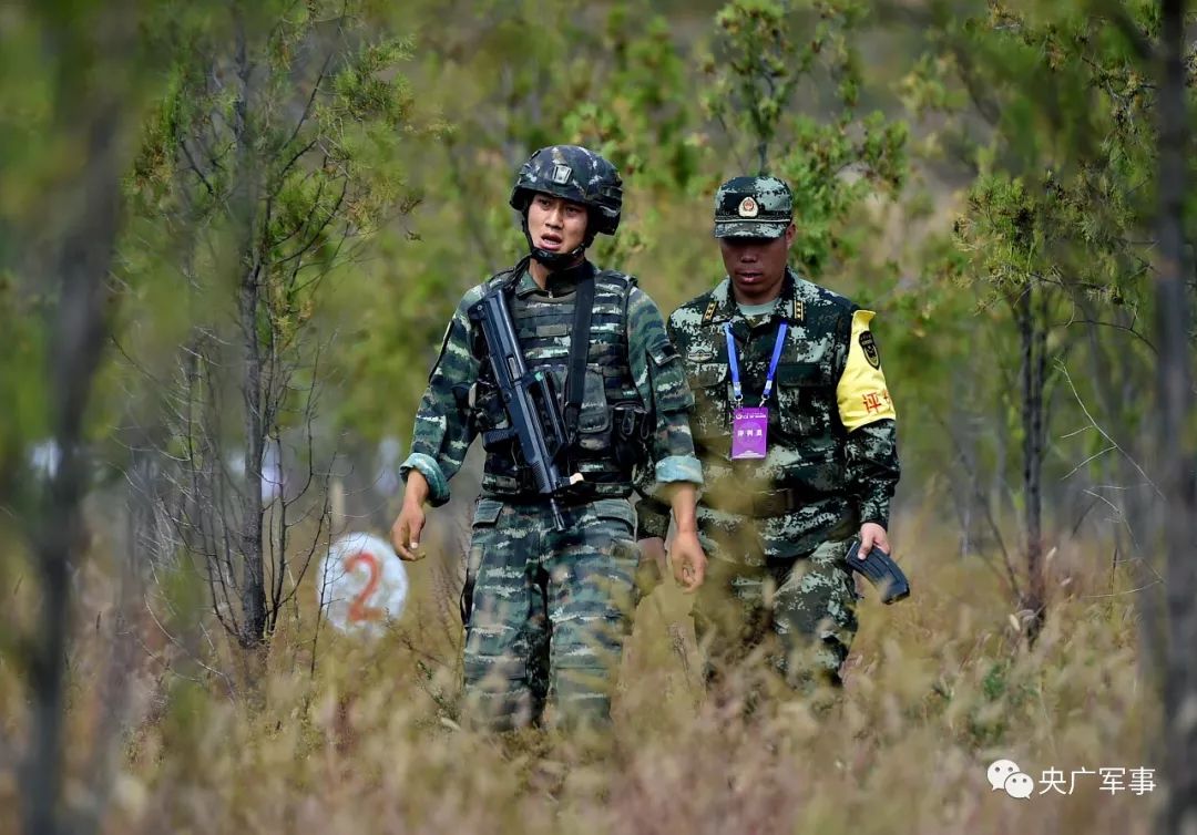 武警特战队员留队几率高的因素与解析，武警特战队员留队几率高的原因深度解析