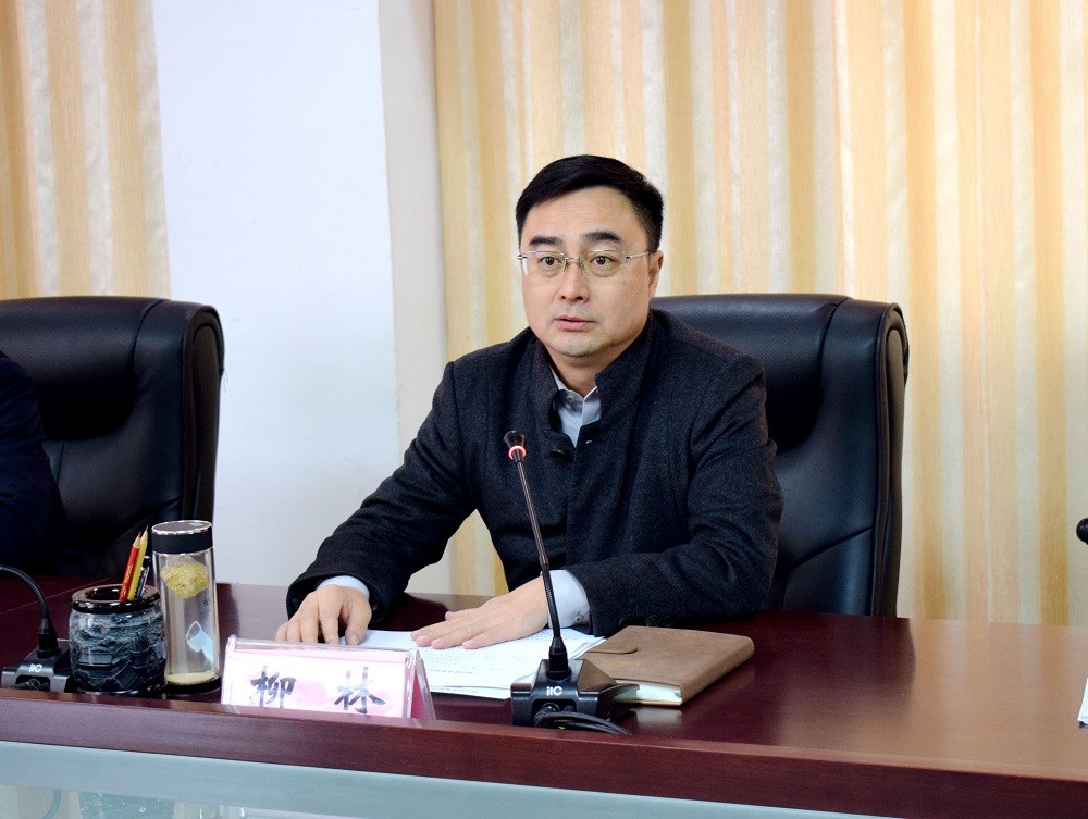 柳林简历，一位杰出人才的成长历程，柳林成长历程，杰出人才的奋斗轨迹