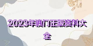 澳门资料大全正版资料，探索与解析（2025版），澳门资料大全正版探索与解析，最新解析报告（2025版）