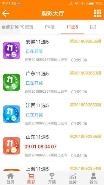 王中王最新一肖精准资料解析，王中王最新一肖精准资料深度解析