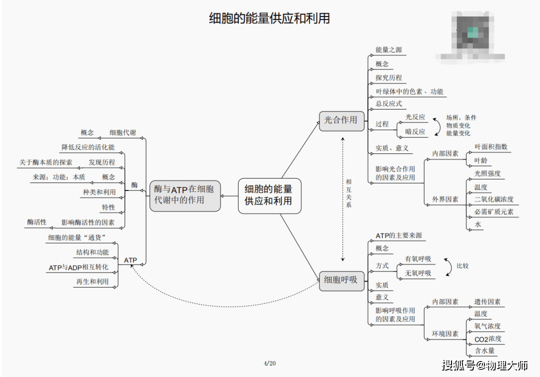 刘伯温四肖三期