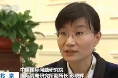 军事评论家苏晓辉个人简介，军事评论家苏晓辉的生平概览