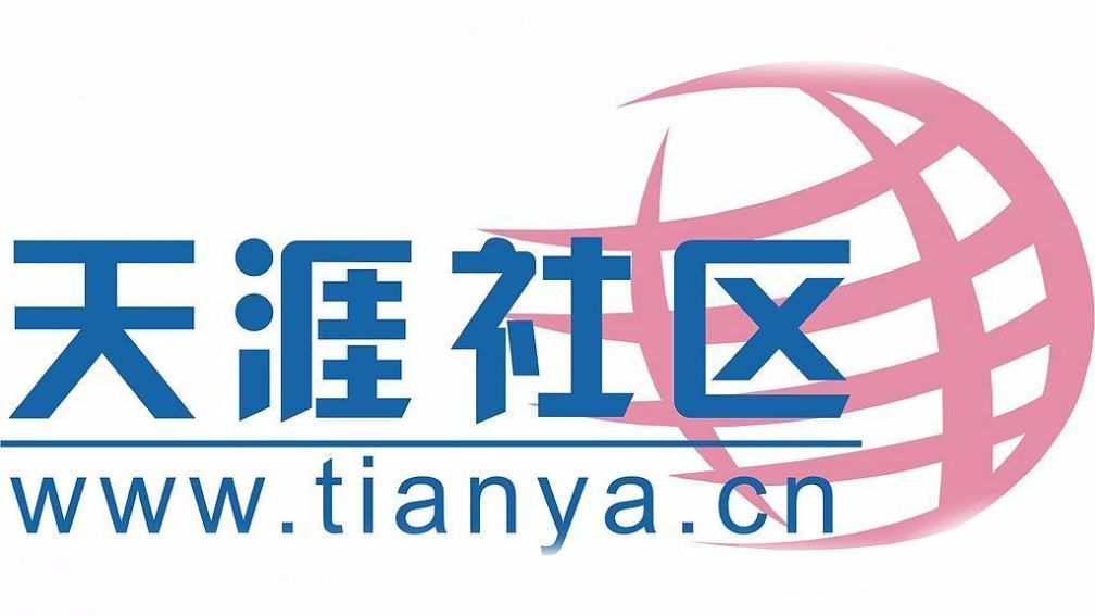 天涯论坛，网络时代的言论高地，天涯论坛，网络时代的言论聚集地