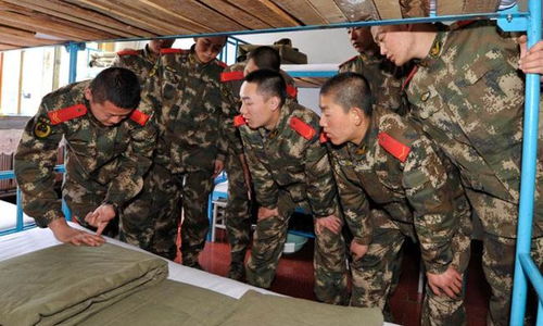 新兵连训练时长变革，6个月的蜕变与挑战，新兵连训练时长变革，6个月的挑战与蜕变之旅