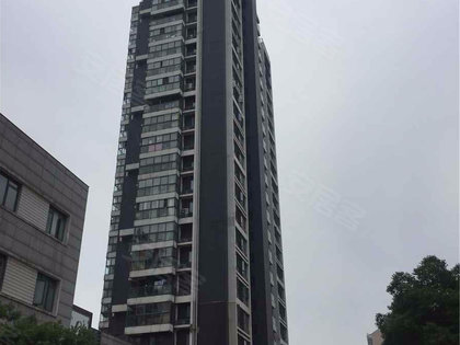 亚东国际，引领区域发展的璀璨明珠，亚东国际——区域发展的璀璨明珠领航者