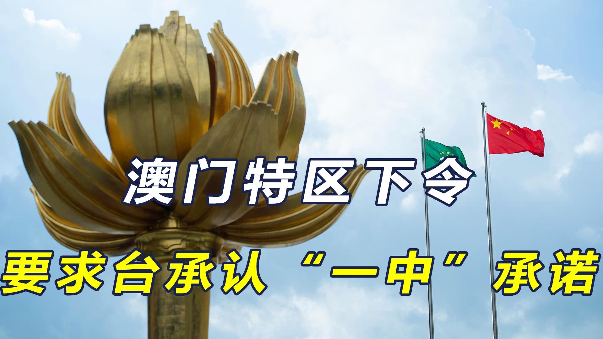 澳门一码一肖一待一中四不像，探索与解读，澳门神秘现象，一码一肖一待一中四不像的解读与探索