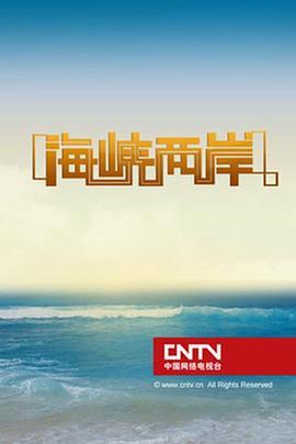 CCTV4海峡两岸节目在2015年的深度解读与影响，CCTV4海峡两岸节目深度解读与影响分析（2015年）