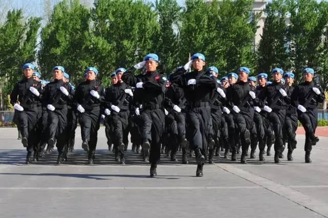 武警学校数量及其重要性，武警学校数量及其重要性探讨