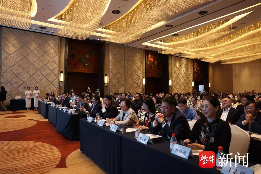 南通论坛，聚焦南通，共筑发展之路，南通论坛，聚焦南通，共谋发展之路
