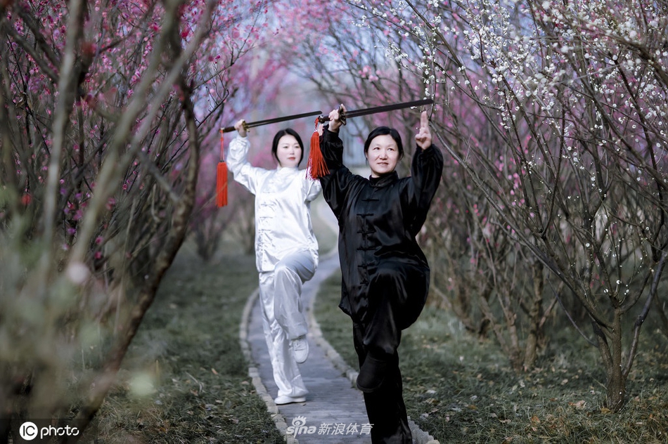 刘伯温全年六肖选一肖，神秘预测与传奇故事，刘伯温六肖选一神秘预测传奇揭秘