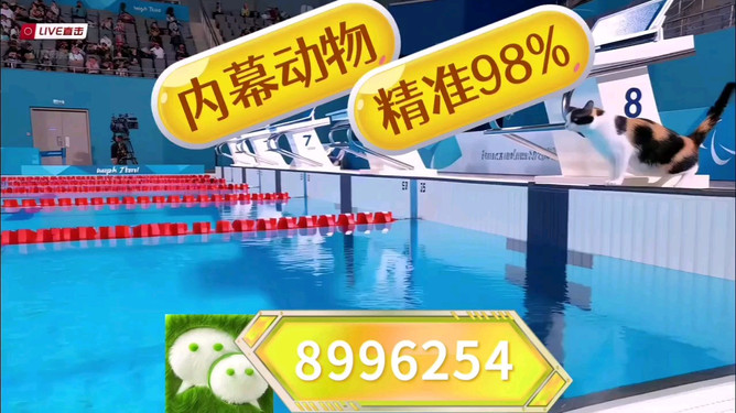 王中王一生肖——探寻生肖文化中的传奇人物与深层含义，王中王一生肖，传奇人物与生肖文化深层含义探寻
