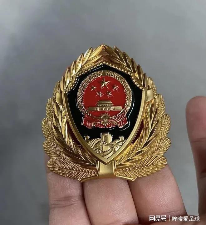 武警部队新帽徽，象征荣耀与使命的崭新标志，武警部队新帽徽，荣耀与使命的崭新象征