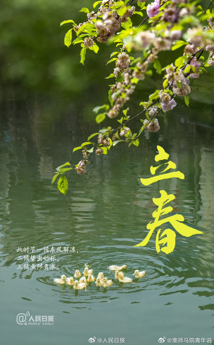 今日立春时间的独特韵味，立春时刻的独特韵味