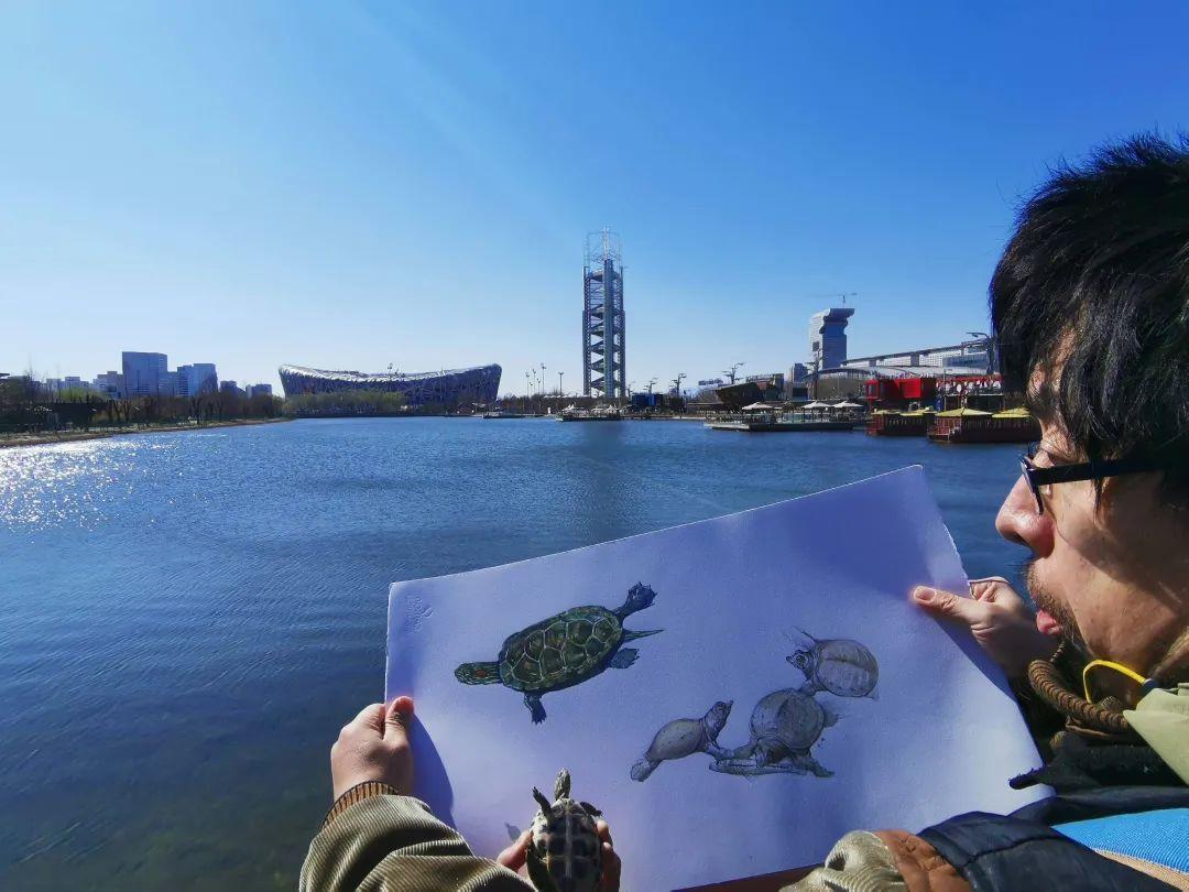 国际观察，在全球化背景下的重要角色——C刊的视角，全球化背景下的国际观察，C刊视角的重要性