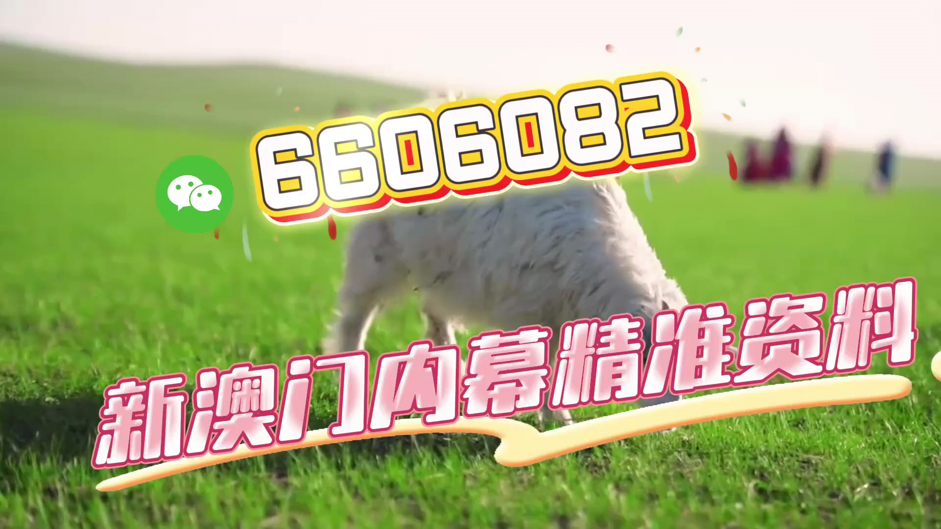 新澳门精准四肖期期中特公开，探索与揭秘，澳门精准四肖期期中特揭秘与探索公开版