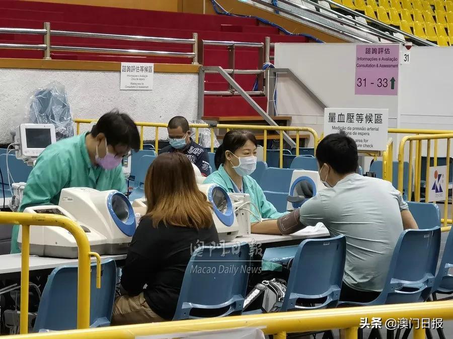 澳门六开奖结果第225期深度解析与观察，澳门六开奖结果第225期深度解析与预测报告