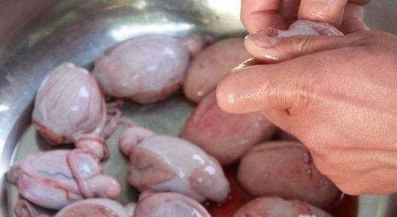 关于补睾丸的最佳方法，一个健康问题的探讨，关于补睾丸的健康问题及探讨，最佳方法揭秘