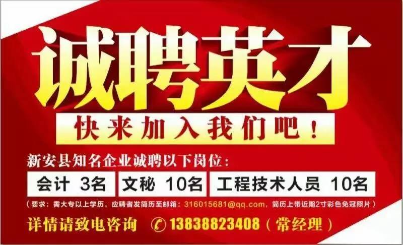 洛阳招聘网最新招聘动态深度解析，洛阳招聘网最新招聘动态深度解读报告