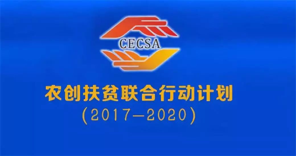 王中王平特一肖连连准，精准预测的魅力与智慧，精准预测的魅力与智慧，王中王平特一肖连连准