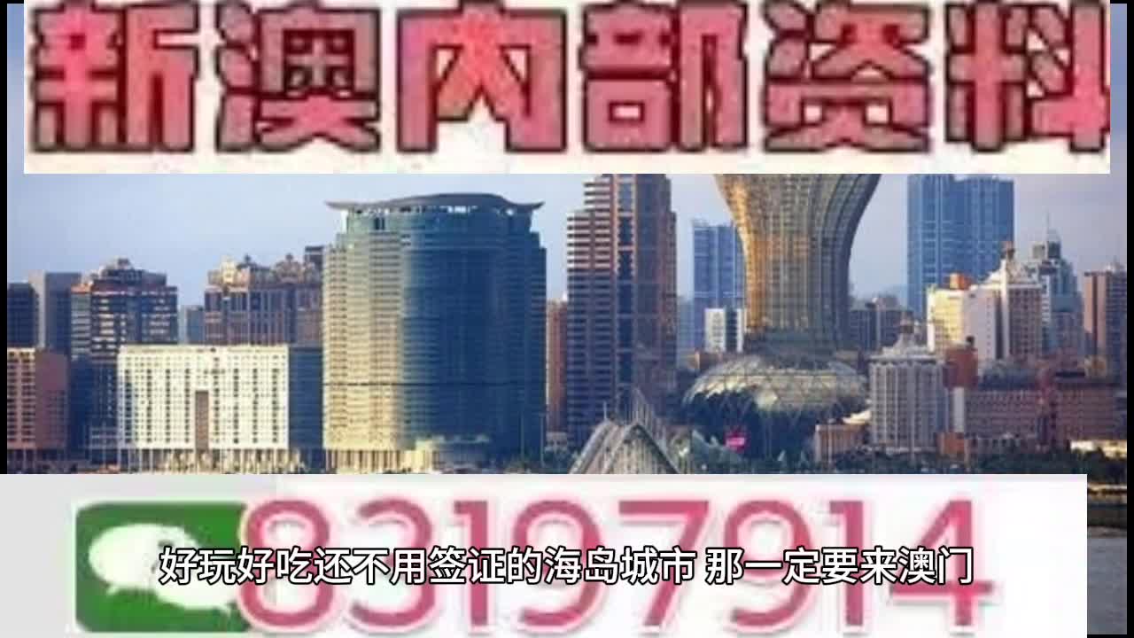 探索未来，2025年新澳门王中王资料概览，揭秘未来蓝图，澳门王中王资料概览至2025年展望