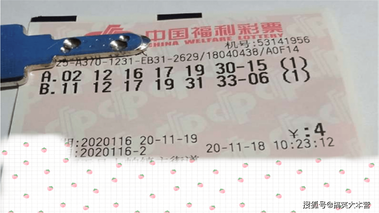 澳门六开奖结果第116期的深度解析，澳门六开奖结果第116期深度解析报告