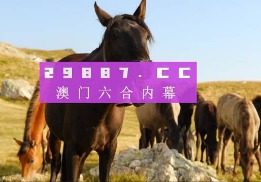 澳门最快开奖资料十图库——揭秘彩票背后的秘密，澳门彩票秘密揭秘，十图库与最快开奖资料解析