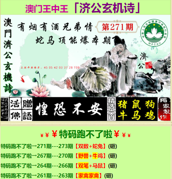 香港王中王一肖中特王，探寻背后的故事与魅力，香港王中王一肖中特王，背后的故事与魅力探寻