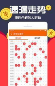 王中王一肖中二码，探索神秘数字世界的奥秘，王中王一肖中二码，揭开数字世界的神秘面纱