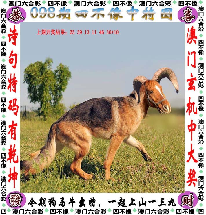 澳门正版四不像，探索与解析，澳门正版四不像，深入探索与解析