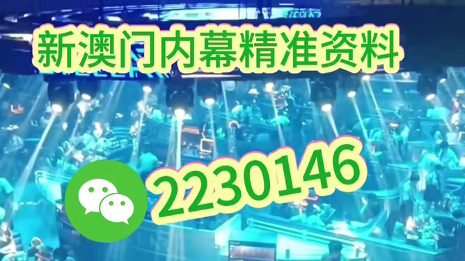 澳门今晚活动，一场文化与娱乐的盛宴（2025年），澳门今晚活动，文化与娱乐盛宴开启（2025年）