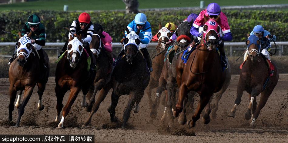 王中王之王与神秘生肖的传奇故事，王中王之王与神秘生肖的传奇之旅