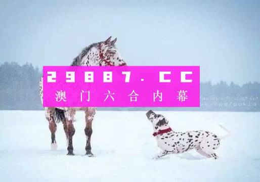 澳门一肖一码与考研，探索准确预测与学术追求的交汇点，澳门一肖一码与考研，交汇点的探索与挑战