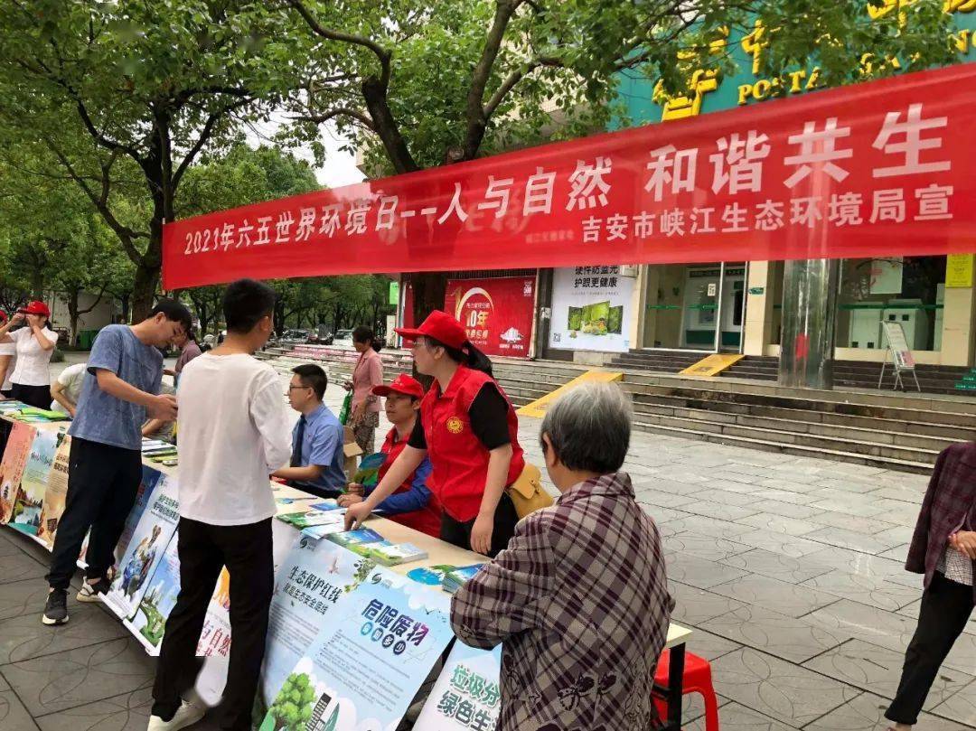 澳门五月六月开奖结果，探索与解析，澳门五月六月开奖结果深度解析与探索