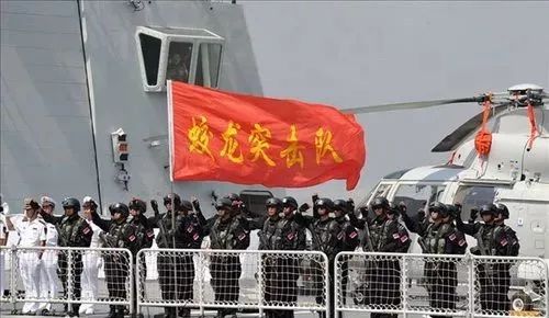 谢楠蛟龙突击队，铁血团队的荣耀与传奇，谢楠蛟龙突击队，铁血团队的荣耀与传奇故事