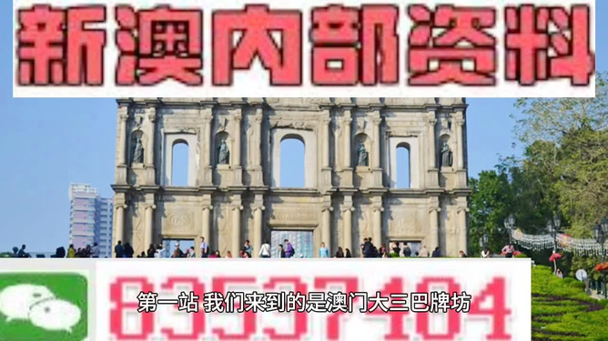 澳门最快最准免费资料，探索与解析，澳门最快最准免费资料解析与探索